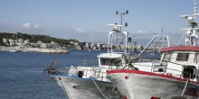 Lollobrigida, con Cambiale Azzurra 10 milioni per liquidit&agrave; delle imprese della pesca