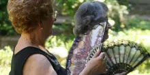 In Sardegna il borgo in cui le donne vivono fino a 100 anni