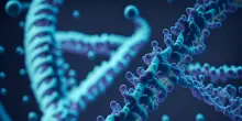 I cromosomi sessuali agiscono anche su malattie e longevit&agrave;