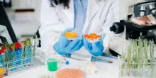 Latte e carne sintetica sotto la lente della Cattolica: rese basse e consumi elevati