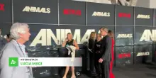 Matt Damon: &ldquo;Animals &egrave; un film di grande attualit&agrave;&rdquo;