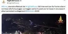 Maltempo: alberi caduti e allagamenti a Roma, 120 interventi dei pompieri