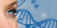 Dall'optogenetica primi risultati su una malattia della retina