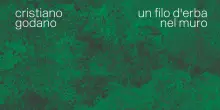 Il 13 novembre esce Un filo d'erba nel muro, nuovo album di Cristiano Godano