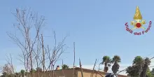 Tromba marina a Marsala, cane estratto da sotto macerie