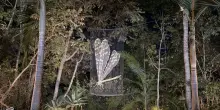 Un'opera d'arte sostenibile per celebrare San Francesco in Kenya