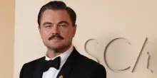 Si ferma il progetto di una maxi linea elettrica in Cile dopo l'appello di DiCaprio per la rana dal petto spinoso