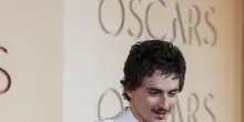 Mondiali: Chalamet, Cruz, Bardem e Flea, tifo vip per Spagna-Austria