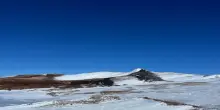 Rischio di influenza aviaria, l'Australia ritira i ricercatori dall'Antartide