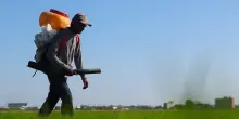 Dall'Ue nuovi aiuti per gli agricoltori contro il caro prezzi dei fertilizzanti