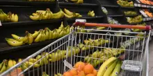 Il carrello sempre pi&ugrave; vuoto, dal 2019 la spesa reale &egrave; diminuita del 9%