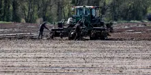 Agea, domande entro il 30 settembre per il bonus gasolio agricoltura