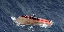 Le ong all'attacco, 'nauseante parlare di compensazioni'