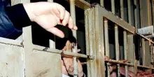 Libere visioni, il carcere entra in giuria a Magma-mostra di cinema breve
