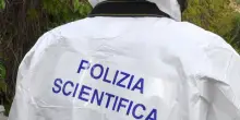 Trovato un corpo carbonizzato in una zona di campagna in Friuli
