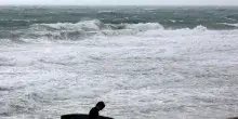 Trovato a Bengasi il corpo di un surfista, si teme sia pugliese disperso