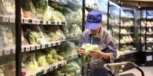 A maggio le vendite al dettaglio +0,2 in valore +0,1% in volume
