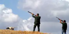 Ambientalisti sul piede di guerra contro il ddl caccia, lo 'sparatutto'