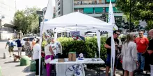 Proposta della Lega, in campagna elettorale divieto di usare lingue straniere