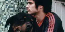 Inarritu, il primo film Amores Perros su Mubi, aspettando Digger con Cruise