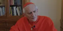 Il Vaticano in campo per la pace, missione di Zuppi a Mosca