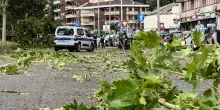 Maltempo: a Roma alberi e rami caduti, pino a fuoco per un fulmine