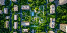 Foreste attorno citt&agrave;, scudo contro temperature estreme e inquinamento urbano