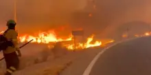 Inferno in Andalusia, almeno 12 morti intrappolati dalle fiamme