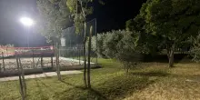 Bimba aggredita da un animale al parco di Arrone, per il sindaco era un lupo