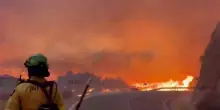 La caduta di un cavo elettrico all'origine dell'incendio in Andalusia