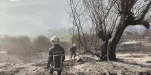 Algeria, 119 incendi in 33 province, in azione anche i mezzi aerei