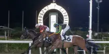 Ippica: il cavallo di Max Allegri vince il premio Accademia Navale