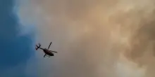 Potrebbero avere origine dolosa gli incendi nel parco umbro del Cucco