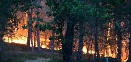 L'ondata di calore si estende in tutta Europa, ancora incendi e vittime. L'Italia nella traiettoria dell'anticiclone