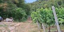 Travolto dal trattore, un agricoltore muore nel Vicentino