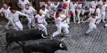 Ultima corsa dei tori di San Fermin ad alta tensione, tre feriti da cornate a Pamplona