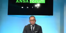 Forum ANSA con Fava (Inps): 'Il sistema &egrave; solido, lavoriamo alle sfide dei prossimi 20 anni'