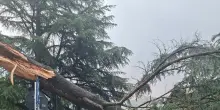 Albero cade su bus di linea durante un temporale in Alto Adige