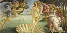 La musa di Botticelli morta per la complicanza fulminante di un tumore