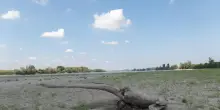 Il grande fiume in secca, nel Po siccit&agrave; ai livelli del 2022