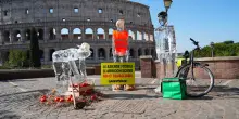 'Lavoratori di ghiaccio sciolti al sole', al Colosseo il flash mob di Greenpeace