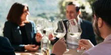 Vendemmia parte bene, ma serbatoi cantine ancora pieni di giacenze