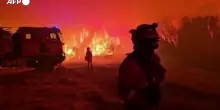 Incendio ad Aragona, mobilitato l'esercito spagnolo, bruciati oltre 12.000 ettari