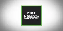 Perch&eacute; il ddl caccia fa discutere