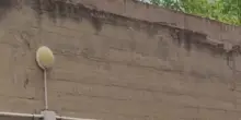 Video choc a Bologna: un uomo muore durante un intervento della polizia
