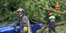 Maltempo, a Cremona sradicati centinaia di alberi e pali della luce