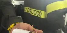 Venezuela, 'Grazie all'Italia per gli aiuti dopo il sisma e la missione di soccorso'