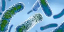 Epidemia di legionella a Basilea, un morto e una persona grave