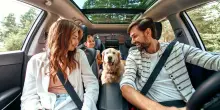 La Lonely Planet pet friendly, 20 esperienze top in Italia da fare con il cane