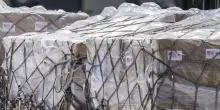 Cuba, Caritas avvia la distribuzione degli aiuti umanitari inviati dagli Usa